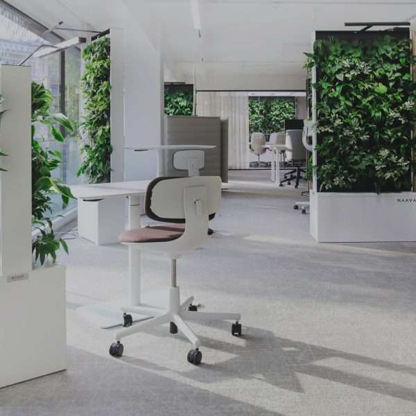 Biophilic design medical clinic