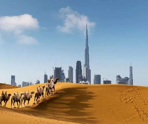 Sand Transfer Permit