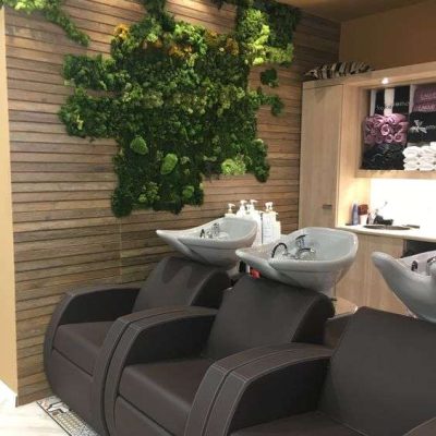 Earthy Natural Tones for salon Interior